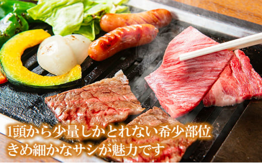 [№5738-0074]A5～A4等級 宮崎牛 三角バラ焼肉 600g※配送不可：離島