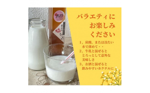 炭酸水や、カクテルで楽しめる梅の味＜京青谷の梅しろっぷ＞200ml×2本【1431920】