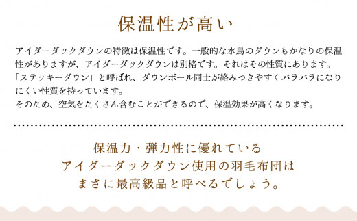  羽毛布団 【シングル】アイルランド産 アイダーダックダウン700g  高級生地使用 【S-41】