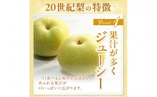 【先行予約／数量限定150】京丹後産 20世紀梨 5kg（12～16玉入り）（2025年9月～発送）　国産 期間限定 デザート 甘い ジューシー ふるさと 納税 梨 なし ナシ 5kg ふるさと 納税 先行予約 期間限定 ふるさと 納税 フルーツ くだもの 青梨　JA00045