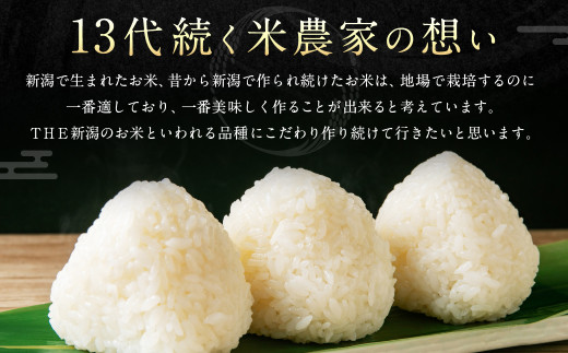 【新米受付・令和6年産米】NA4110 違いを楽しめるお米セット 新潟県産 コシヒカリ・ゆきん子舞・新之助 計6kg