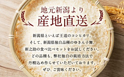 【新米受付・令和6年産米】NA4110 違いを楽しめるお米セット 新潟県産 コシヒカリ・ゆきん子舞・新之助 計6kg