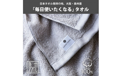 吸水力と肌触りが自慢のデイリーユースバスタオル チャコールグレー 3枚 [4767]