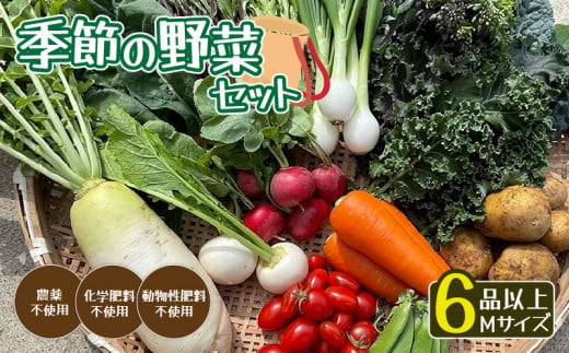 無農薬 季節の野菜セットM（約4kg）【 国産 旬 季節の野菜 詰め合わせ セット 農薬不使用 無農薬 産地直送 京野菜 京都 綾部 】