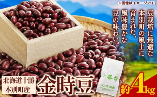 令和6年度産 北海道十勝 本別町産 金時豆 4kg 本別町農業協同組合《60日以内に出荷予定(土日祝除く)》北海道 本別町 豆 送料無料