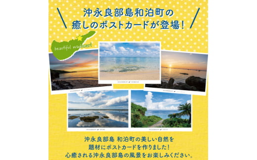 花と癒しの島！沖永良部島オリジナルポストカード（風景編）　W060-001u