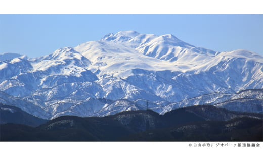 石川県白山市産　純粋日本はちみつ　白山ひめみつ　270g×2瓶【1126418】