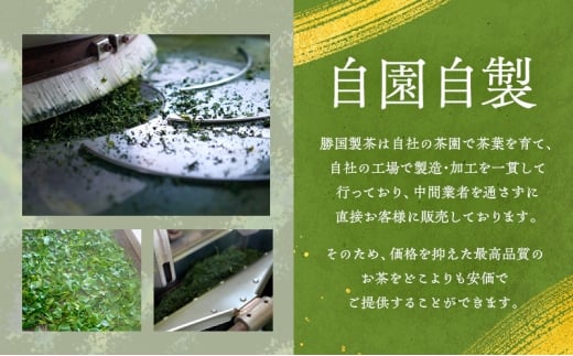 煎茶 ティーバッグ 100g（5g×15包） 5袋セット お茶 [№5812-0864]