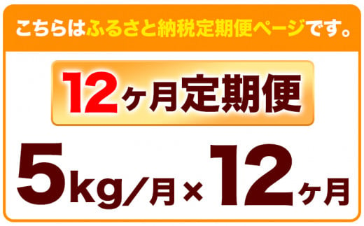 175. 【12ヶ月定期便】米粉 きぬむすめ 5kg ありがとう園《お申込み月の翌月から出荷開始》岡山県 矢掛町 米 コメ 一等米 きぬむすめ 100％ 料理用 定期便 