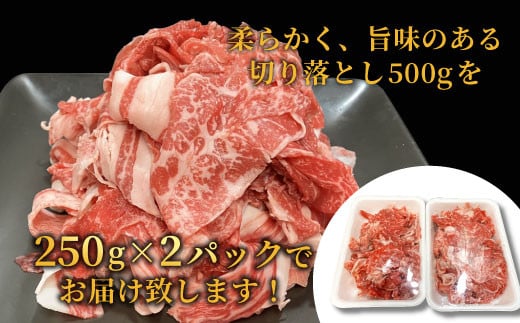 2月発送★大人気商品セット★信州高原和牛 切り落とし500g＆カタロース焼肉用500g 13000円