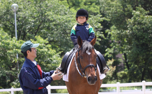 初心者乗馬体験＜レッスン1回コース＞【乗馬 体験 馬 うま ウマ 乗馬体験チケット 馬散歩 乗馬レッスン レジャー アクティビティ 乗馬体験 レンタル付 乗馬散歩 自然 初心者 安心 スポーツ アウトドア】