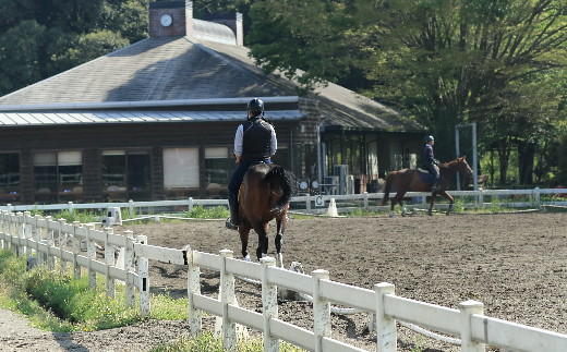 初心者乗馬体験＜レッスン1回コース＞【乗馬 体験 馬 うま ウマ 乗馬体験チケット 馬散歩 乗馬レッスン レジャー アクティビティ 乗馬体験 レンタル付 乗馬散歩 自然 初心者 安心 スポーツ アウトドア】