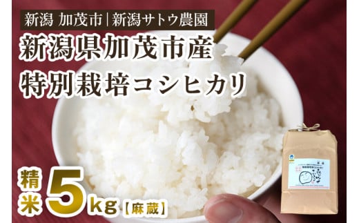 【令和6年産新米先行予約】化学肥料不使用の従来コシヒカリ【麻蔵5kg】特別栽培 有機肥料で育った厳選米  加茂市 新潟サトウ農園