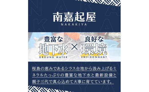 【0115701a】＜数量限定＞添加物不使用！鹿児島県鰻のモツアヒージョ2種セット(計280g・140g×2個) うなぎ 高級 ウナギ 鰻 国産 ピリ辛 おつまみ おかず 鹿児島 ふるさと 人気【南嘉起屋】