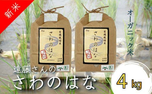 【令和6年産新米】【オーガニック米】遠藤さんの「さわのはな」4kg(2kg×2袋)_A081(R6)