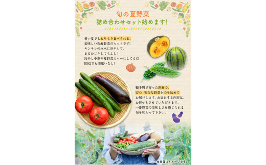 夏野菜セット 約5キロ 花田農園 令和5年《6月上旬-8月中旬頃出荷》トマト きゅうり オクラ かぼちゃ マクワ瓜 すいか ゴーヤ じゃがいも 玉ねぎ 鞍手郡