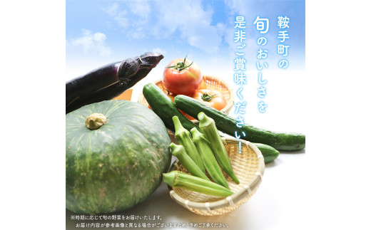 夏野菜セット 約5キロ 花田農園 令和5年《6月上旬-8月中旬頃出荷》トマト きゅうり オクラ かぼちゃ マクワ瓜 すいか ゴーヤ じゃがいも 玉ねぎ 鞍手郡