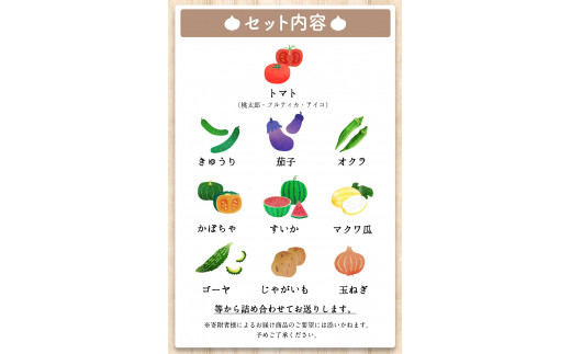 夏野菜セット 約5キロ 花田農園 令和5年《6月上旬-8月中旬頃出荷》トマト きゅうり オクラ かぼちゃ マクワ瓜 すいか ゴーヤ じゃがいも 玉ねぎ 鞍手郡