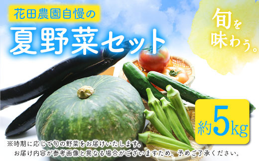 夏野菜セット 約5キロ 花田農園 令和5年《6月上旬-8月中旬頃出荷》トマト きゅうり オクラ かぼちゃ マクワ瓜 すいか ゴーヤ じゃがいも 玉ねぎ 鞍手郡