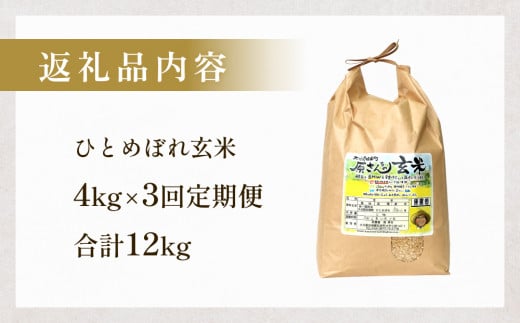 原さんちの玄米（ひとめぼれ） 玄米 ４kg ３回定期便 ひとめぼれ 有機質肥料 特別栽培米 原農園 完熟堆肥 アートテン農法 抗酸化農法 有効微生物農法 光合成 体に良い 美味しい お米 安全 清潔 環境に優しい 栄養価 高品質 産地直送 健康志向 農産物