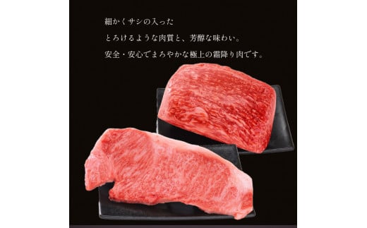 熊本県産 Ａ5等級 和王 柔らか 赤身 焼肉 900g | 肉 にく お肉 おにく 牛 牛肉 和牛 黒毛和牛 熊本県 玉名市