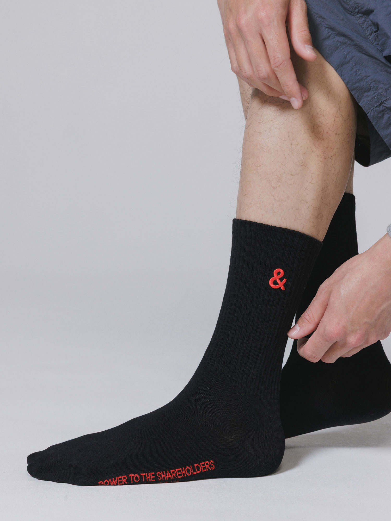 第2期株主誕生記念 &ソックス