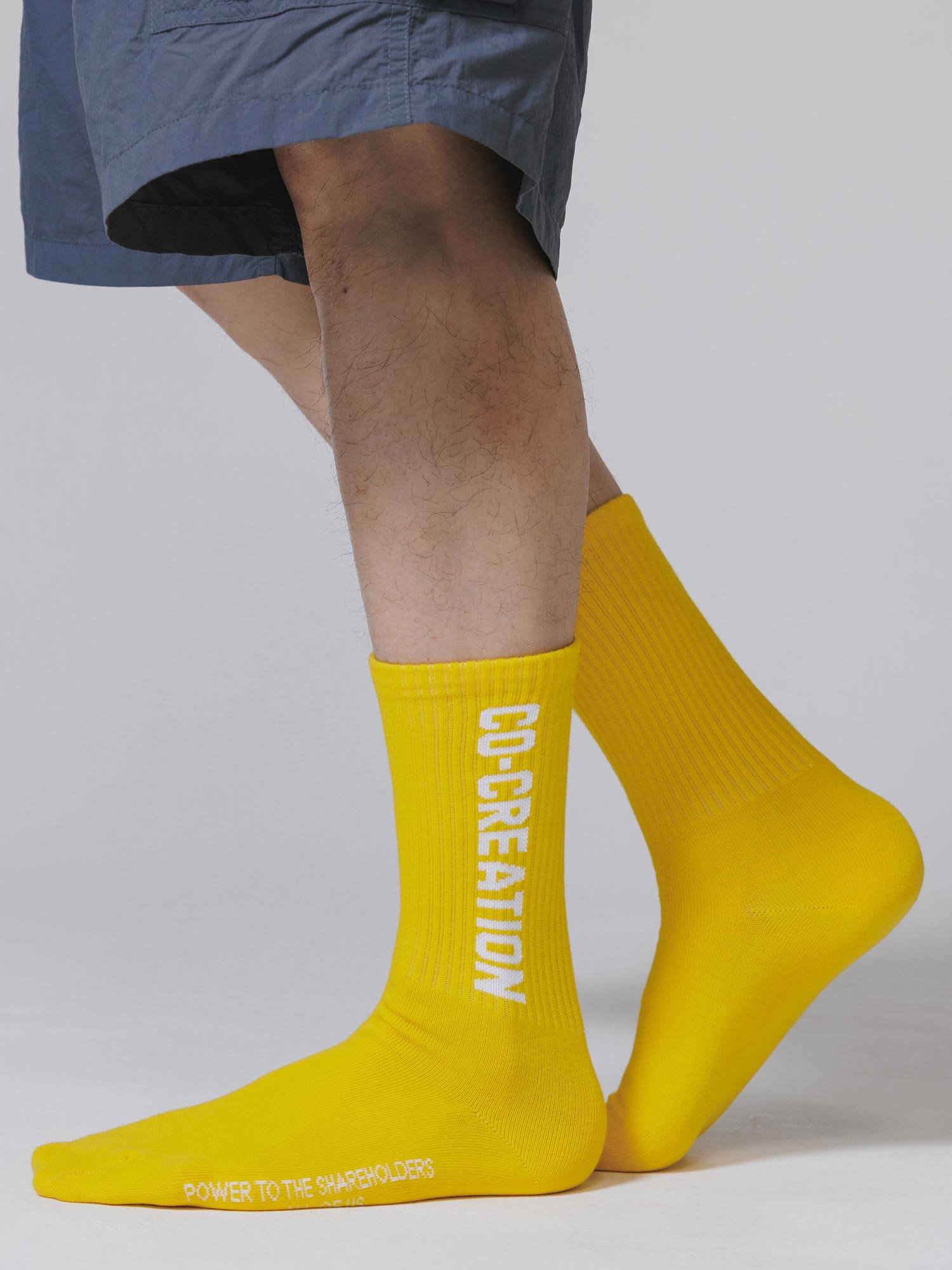 第2期株主誕生記念 CO-CREATIONソックス